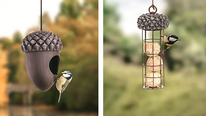 Wie locke ich Vögel an die Futterstelle?